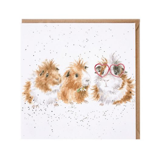 The Trendsetter Guinea Pigs Card - Cards and Gift Wrap